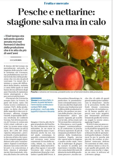 quotidiano L'Arena