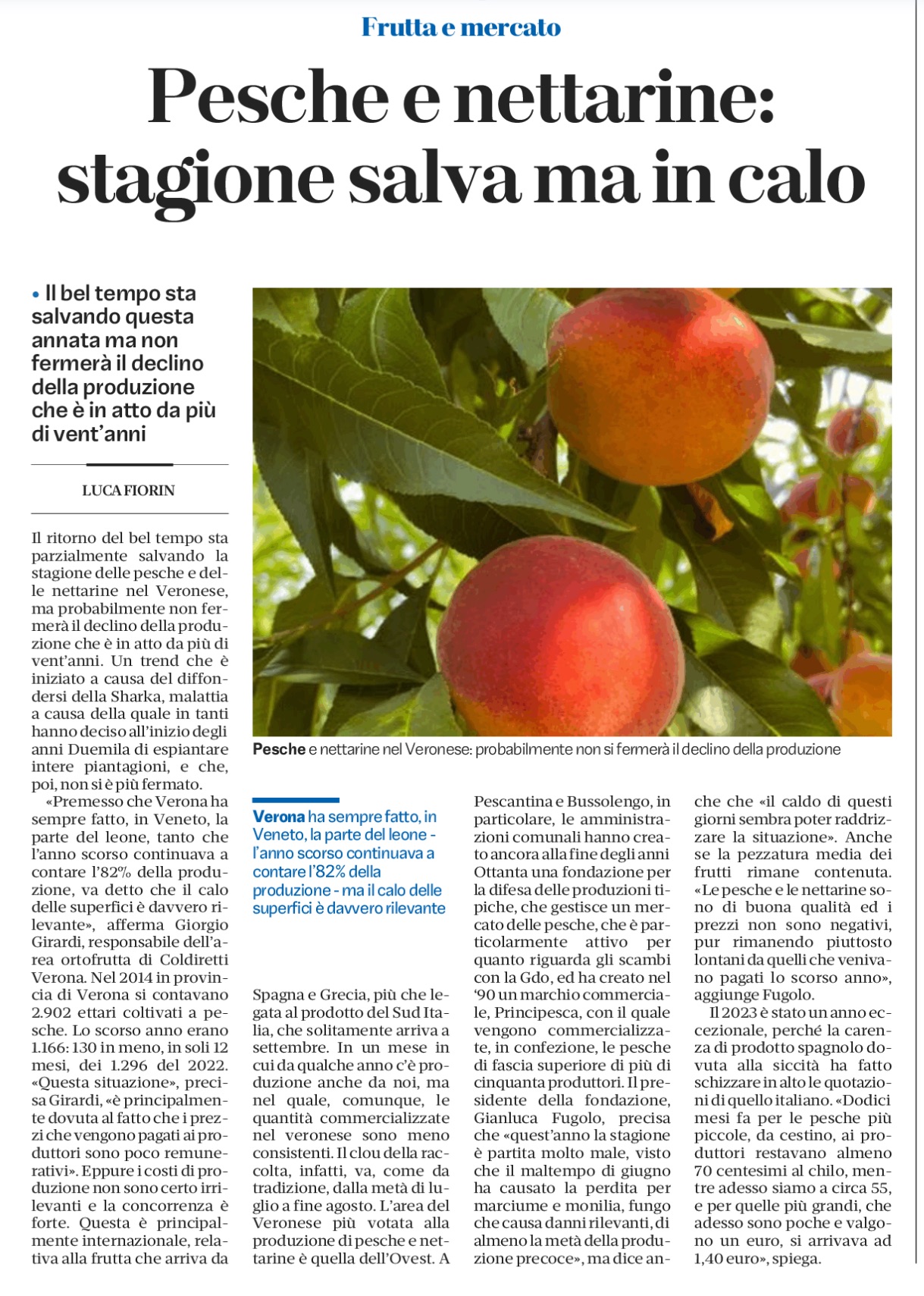 quotidiano L'Arena