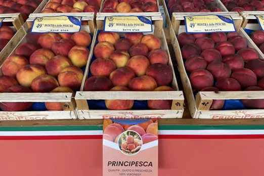 pesche in mostra alla fiera di Bussolengo