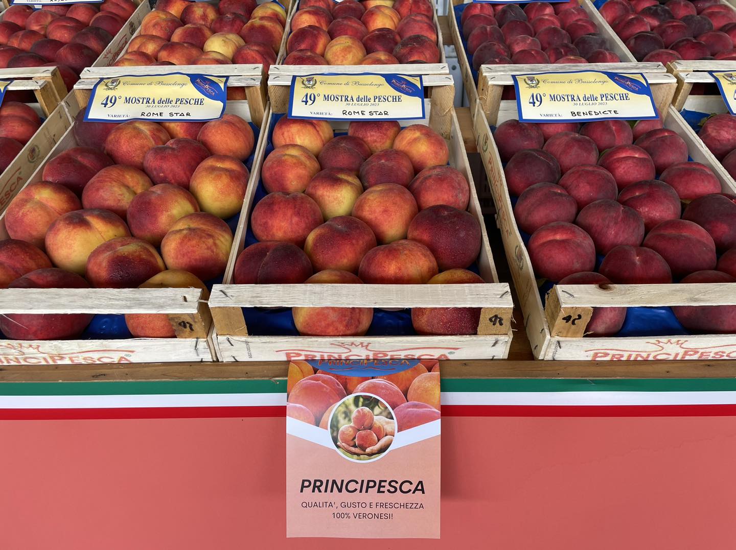 pesche in mostra alla fiera di Bussolengo