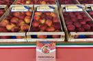 pesche in mostra alla fiera di Bussolengo